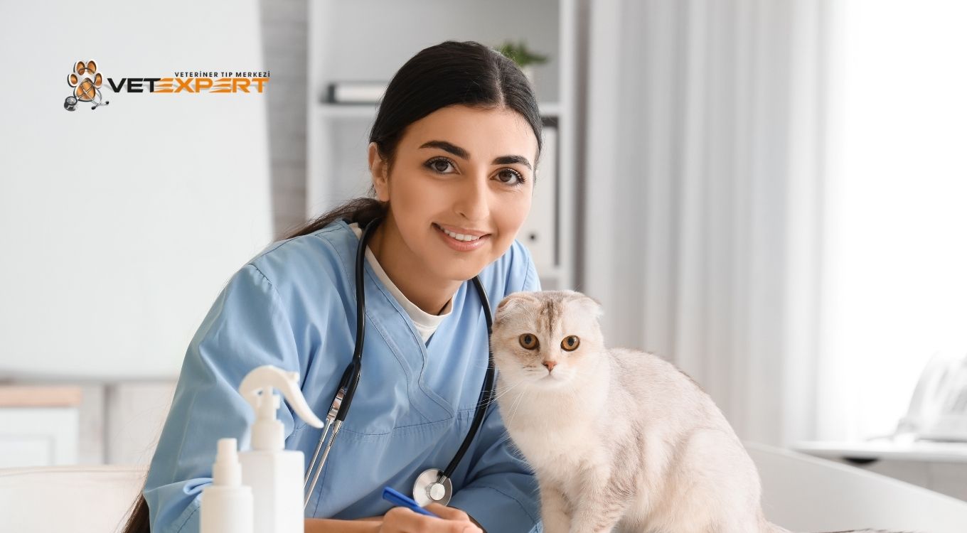 Vetexpert Veteriner Tıp Merkezi | Web Tasarım